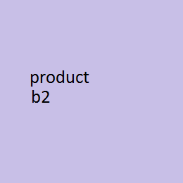 product b2